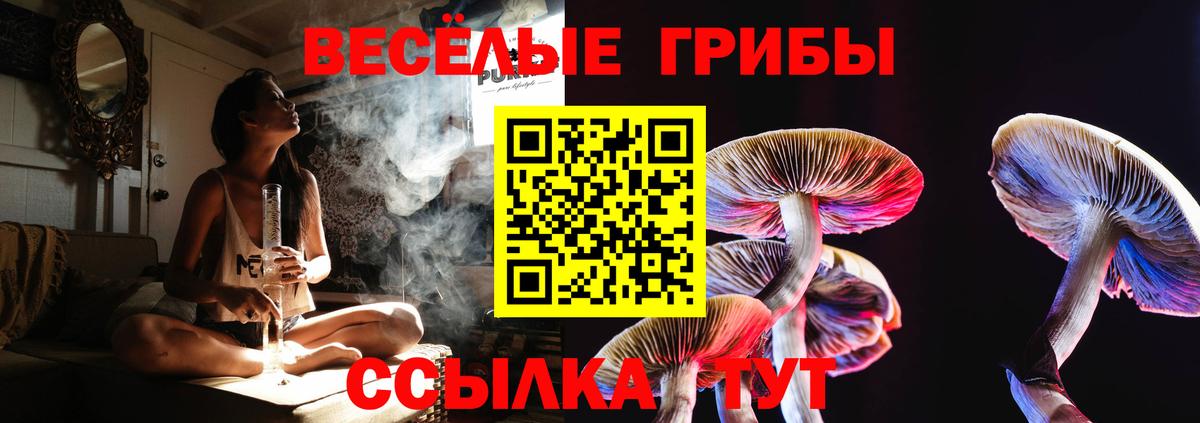 Псилоцибиновые грибы ЛСД Кореновск
